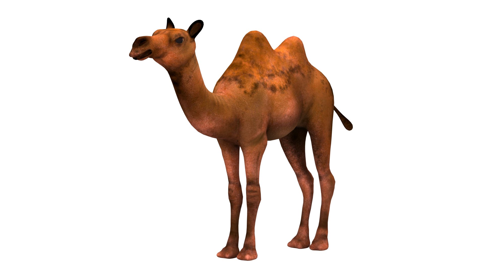 camel low-poly 3D https://p.turbosquid.com/ts-thumb/Xg/S6DRl6/Py/3/png/1737817283/1920x1080/fit_q87/7b224e22bf93485612137d20728826fde0f885b7/3.jpg