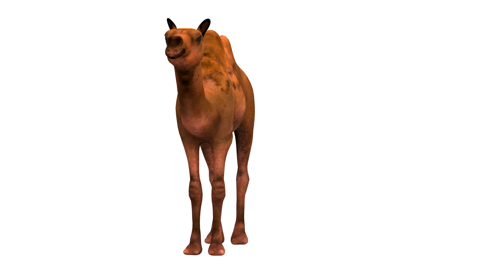 camel low-poly 3D https://p.turbosquid.com/ts-thumb/Xg/S6DRl6/Zm/4/png/1737817282/1920x1080/fit_q87/c6f98766b4796f1dc2ecabfec6d6d912c57ba863/4.jpg