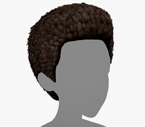 3D Male Hair Cards Style 11 - Frizzy Hair