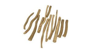 3D Shatavari Root Asparagus racemosus