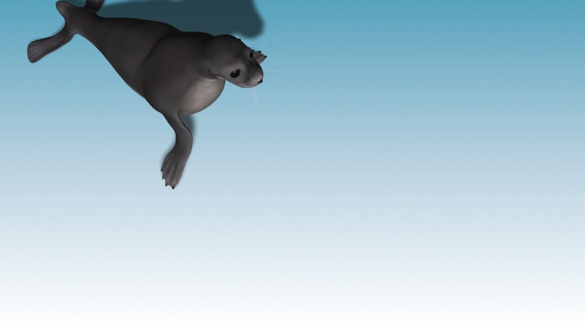 seal animation rigging max