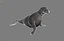 seal animation rigging max