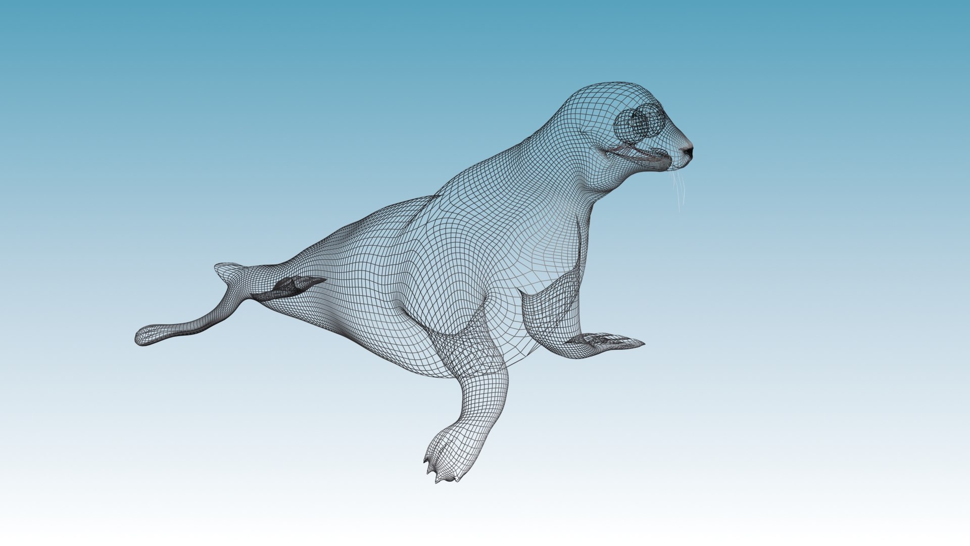 seal animation rigging max