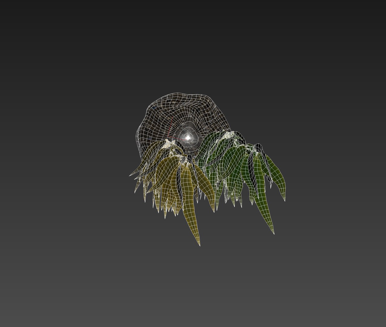 Seaweed Plant Nature 3D Model - TurboSquid 1378606