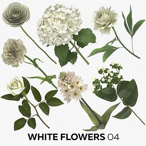 white flowers 04 3D model
