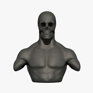 Skull Human