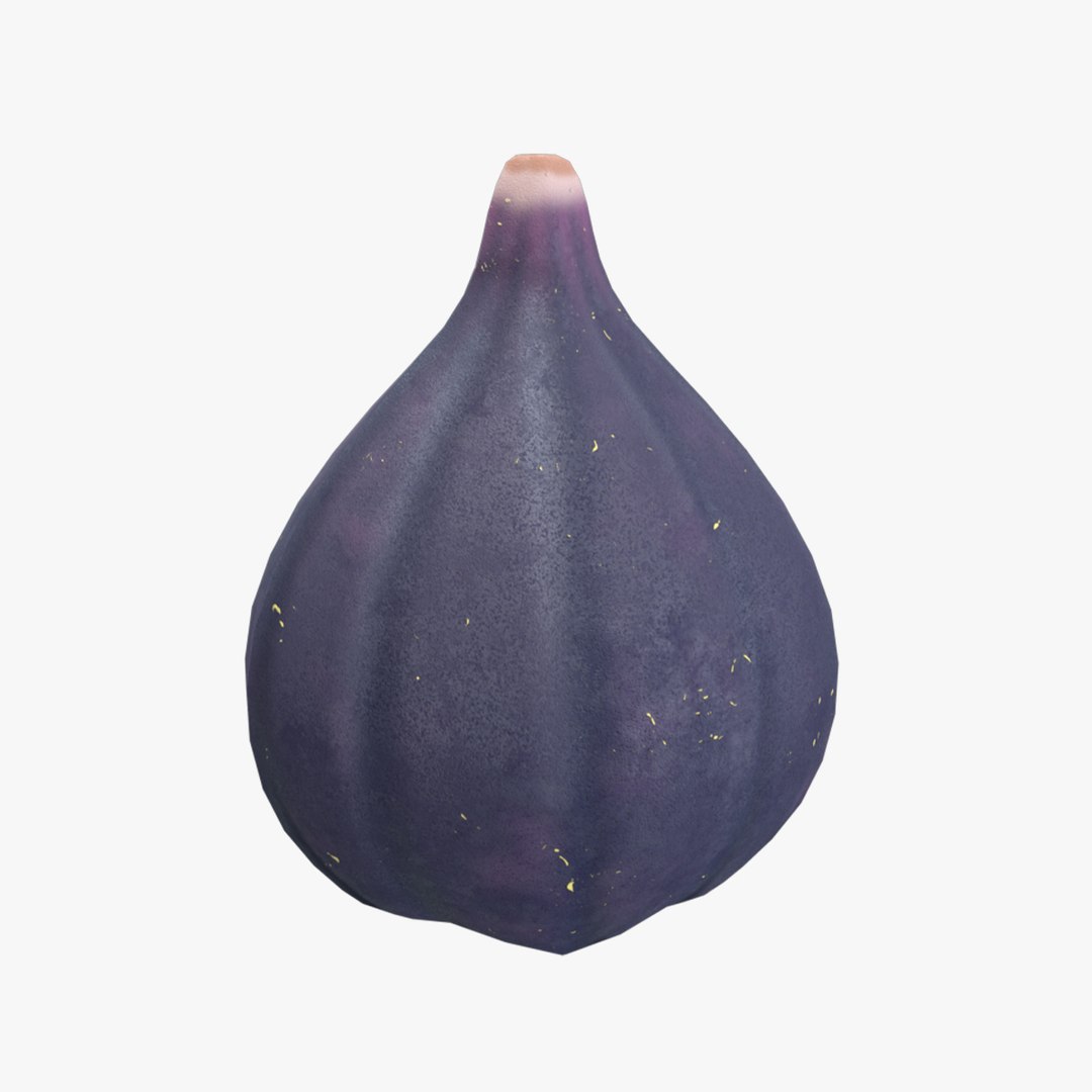 Medieval Figs 3D - TurboSquid 2323005