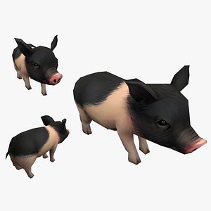 pet pig swine hog hoggery