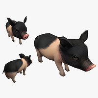 pet pig swine hog hoggery