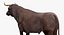 Bull Rigged for Cinema 4D