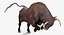 Bull Rigged for Cinema 4D