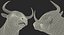 Bull Rigged for Cinema 4D