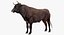 Bull Rigged for Cinema 4D