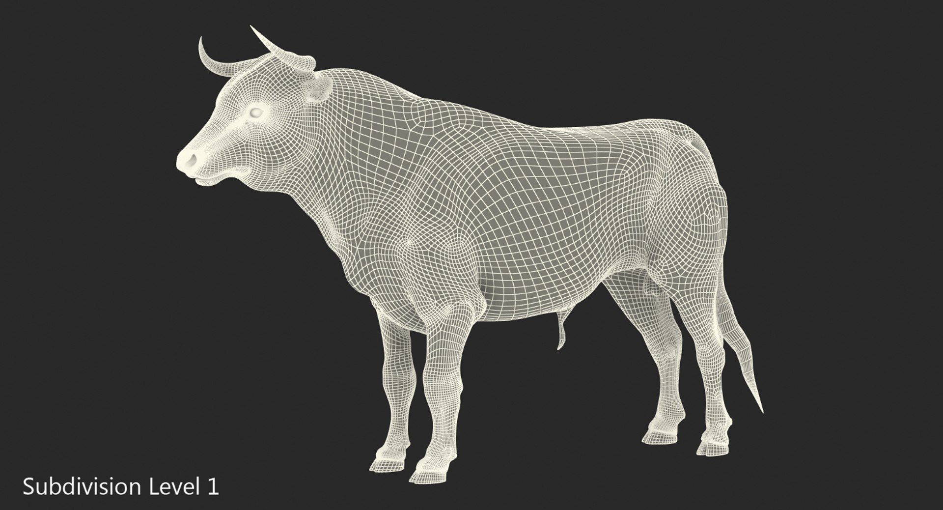 3D bull rigged https://p.turbosquid.com/ts-thumb/Xh/7FCSIY/Id5FbtXK/bullrigged3dsmodel029/jpg/1510087275/1920x1080/fit_q87/6fd2a049b0ced311a7a2c2beb2dfa5eec5906005/bullrigged3dsmodel029.jpg