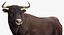 Bull Rigged for Cinema 4D