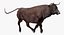 Bull Rigged for Cinema 4D