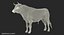 Bull Rigged for Cinema 4D