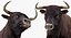 Bull Rigged for Cinema 4D
