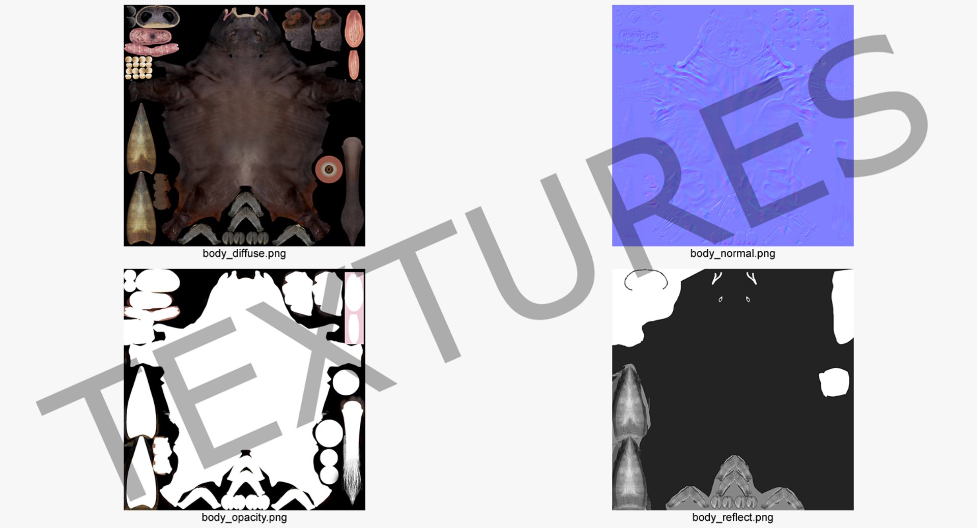 3D bull rigged https://p.turbosquid.com/ts-thumb/Xh/7FCSIY/TQfjeWbn/bullrigged3dsmodel033/jpg/1510087292/1920x1080/fit_q87/468c3c6a414778012b3dbcc5b234b1fc1eb9fac5/bullrigged3dsmodel033.jpg