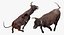 Bull Rigged for Cinema 4D