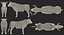 Bull Rigged for Cinema 4D