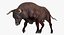 Bull Rigged for Cinema 4D