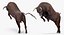 Bull Rigged for Cinema 4D