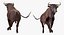 Bull Rigged for Cinema 4D