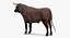 Bull Rigged for Cinema 4D