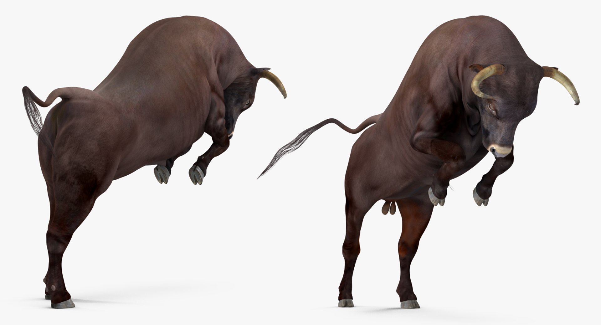 3D bull rigged https://p.turbosquid.com/ts-thumb/Xh/7FCSIY/mCt1M1jc/bullrigged3dsmodel014/jpg/1510087220/1920x1080/fit_q87/6dd559929c6e03615a889a7739a6d06395a3ba64/bullrigged3dsmodel014.jpg
