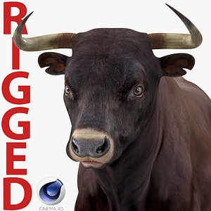 3D bull rigged