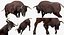Bull Rigged for Cinema 4D