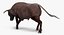 Bull Rigged for Cinema 4D