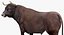 Bull Rigged for Cinema 4D