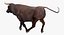 Bull Rigged for Cinema 4D