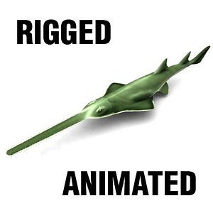 sawfish shark animation 3d model