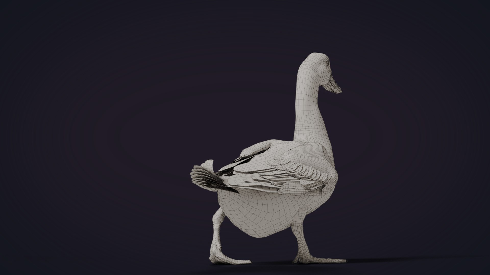 Duck Animated 3D model - TurboSquid 2056596