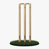 Cricket Wicket