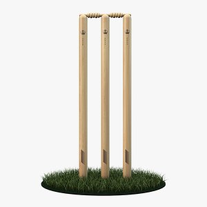 Cricket Wicket