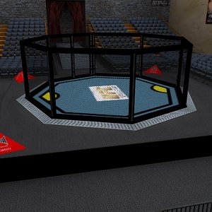 UFC Cage