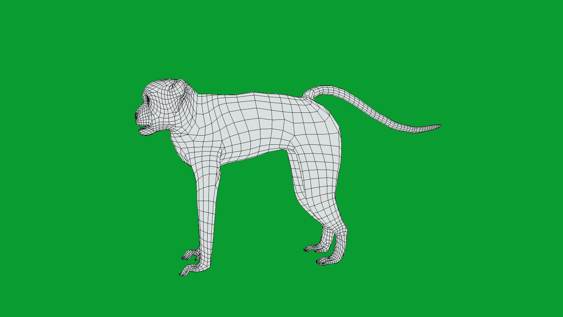 3D Male Patas Monkey https://p.turbosquid.com/ts-thumb/Xh/iP94fZ/3s/hussar_monkey20/png/1781189279/1920x1080/fit_q87/e1e006d3d17ad15b8089bce8944c54669041b4b4/hussar_monkey20.jpg