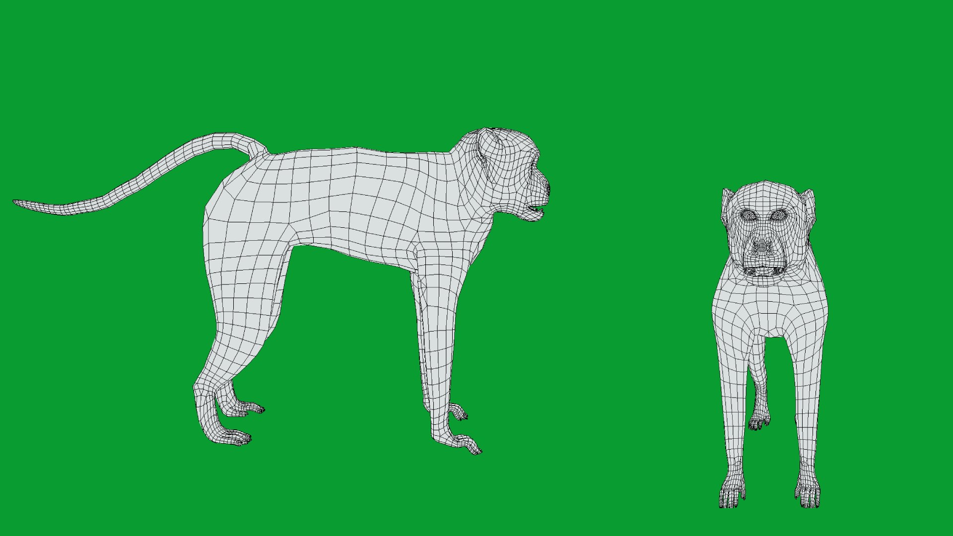 3D Male Patas Monkey https://p.turbosquid.com/ts-thumb/Xh/iP94fZ/3w/wire/png/1781189424/1920x1080/fit_q87/5186cdfd1b8e180fdd6b049d93ab223324aa74b9/wire.jpg