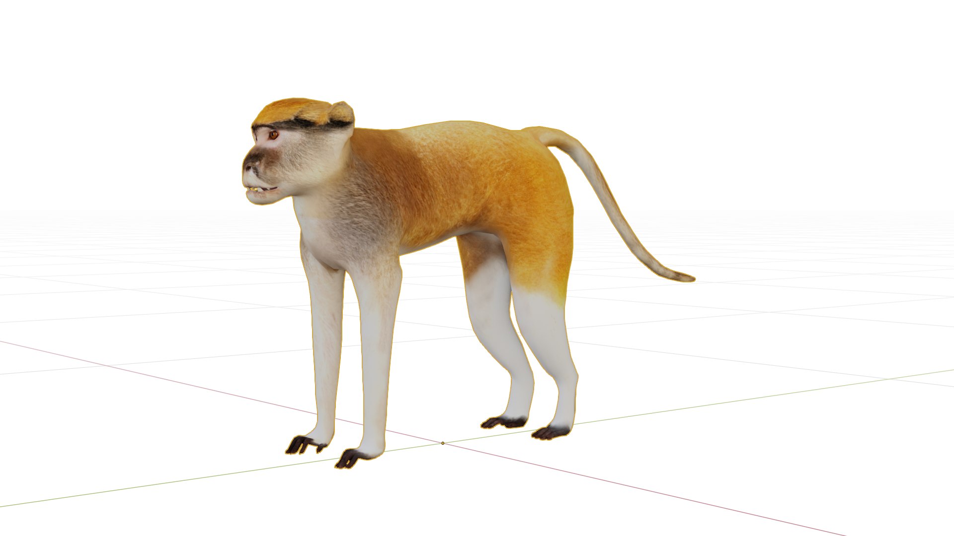 3D Male Patas Monkey https://p.turbosquid.com/ts-thumb/Xh/iP94fZ/N7/viewport4/png/1781189146/1920x1080/fit_q87/2cfb53aeb79aaaf519cbd44bf089ef3d52a95eea/viewport4.jpg