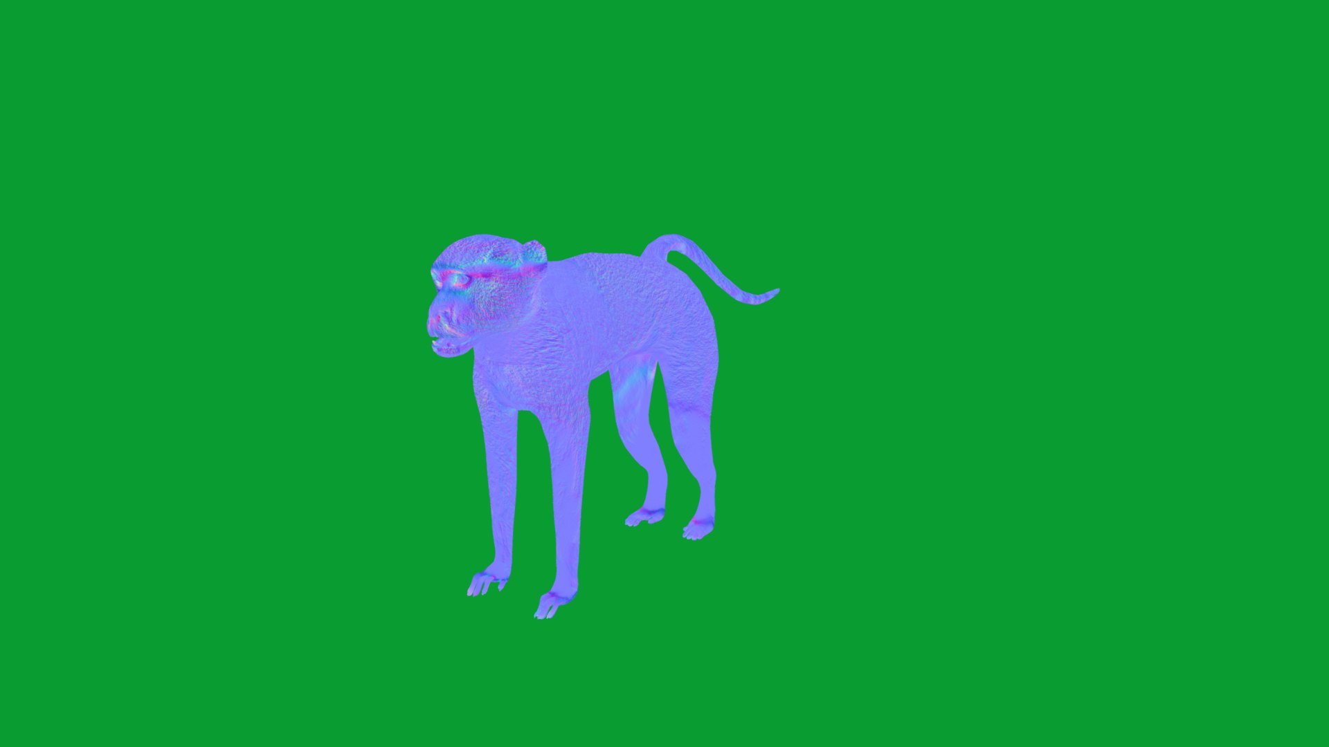3D Male Patas Monkey https://p.turbosquid.com/ts-thumb/Xh/iP94fZ/Ti/hussar_monkey13/png/1781189273/1920x1080/fit_q87/e69813ede67217b743634a6cb84e38b704af7fe1/hussar_monkey13.jpg