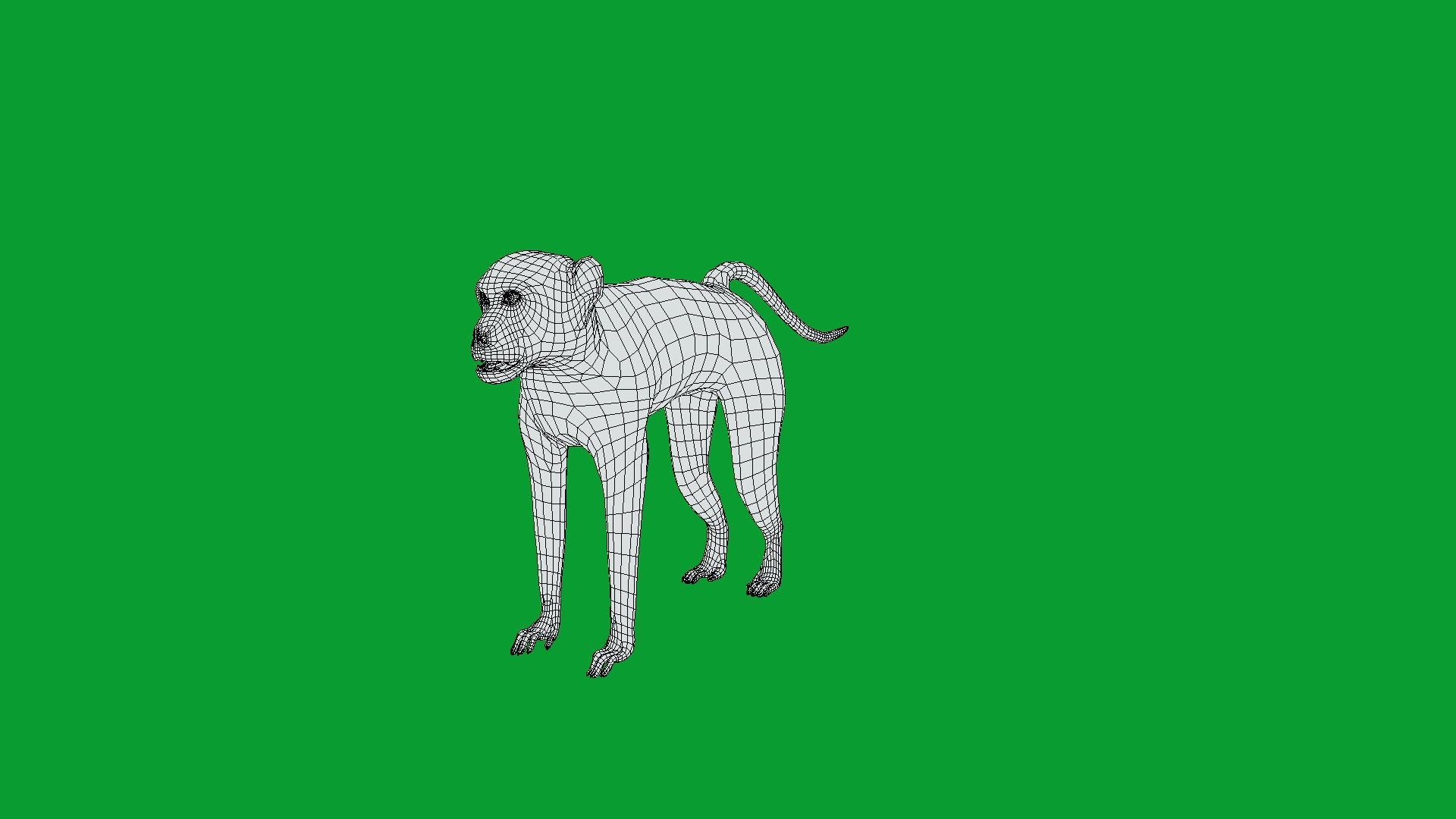 3D Male Patas Monkey https://p.turbosquid.com/ts-thumb/Xh/iP94fZ/la/hussar_monkey19/png/1781189277/1920x1080/fit_q87/a1f874c3068c965ef37b3a651dbb8a42ea6cdcc5/hussar_monkey19.jpg