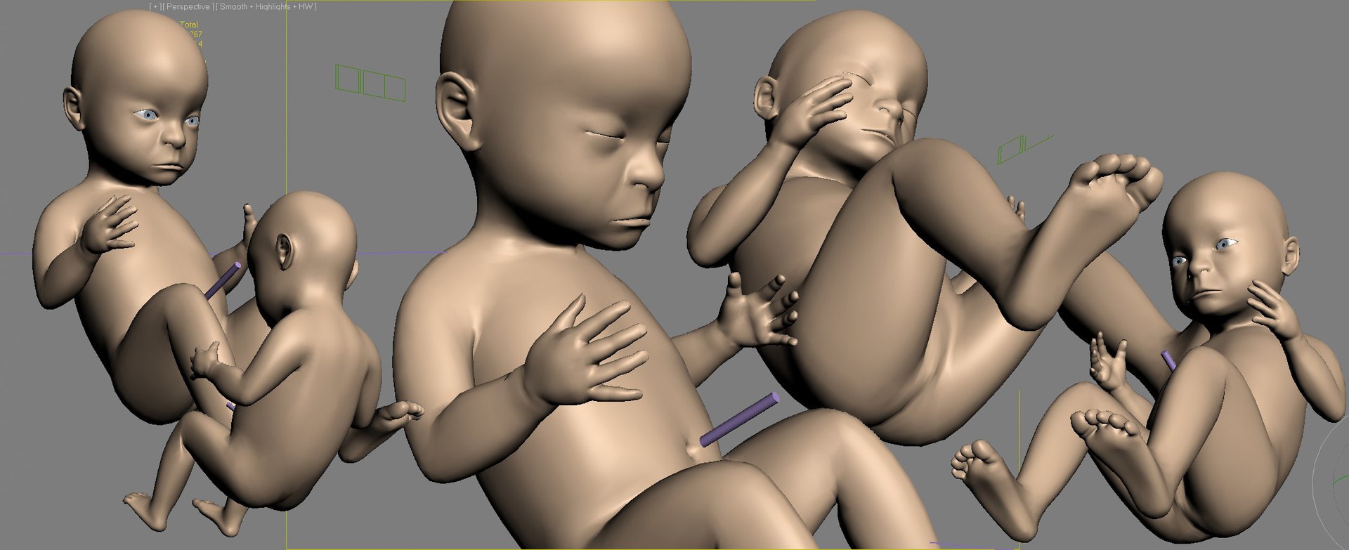 Rigged Fetus Morph Development 3d Max