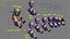 sviluppo del feto attrezzato con morphtargets