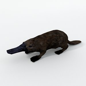 3D platypus