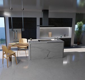 Elegant kitchen interior 3D