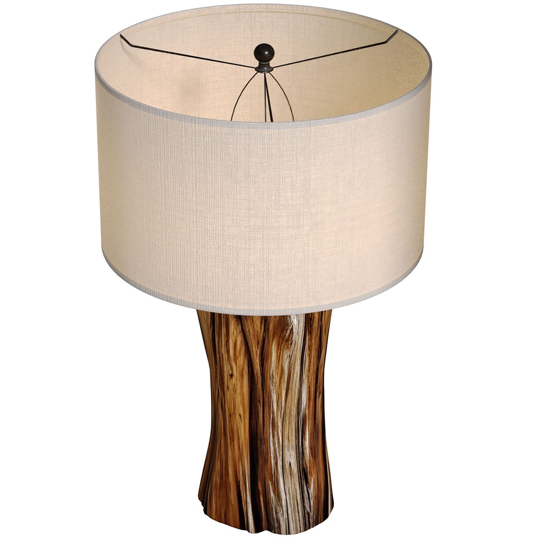 Rustic Wooden Table Lamp Country Stump Tree Eco Design 3D model 3D model https://p.turbosquid.com/ts-thumb/Xh/ynDKct/K3/sdf6/jpg/1751957884/1920x1080/fit_q87/3c5130fd74ea77b3d498f3f054bf4b2f47df7990/sdf6.jpg